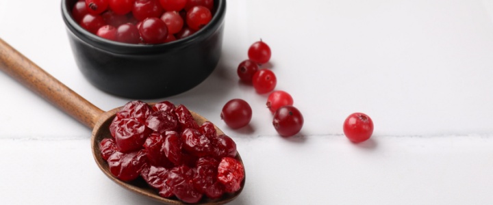 Dried Cranberries Product - Full Circle Ingredients Ltd | Full Circle Ingredients Ltd - Food Ingredients Supplier Dried Cranberries Product - Full Circle Ingredients Ltd