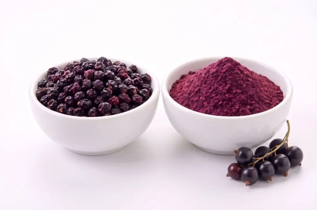 Blackcurrant - Full Circle Ingredients Ltd