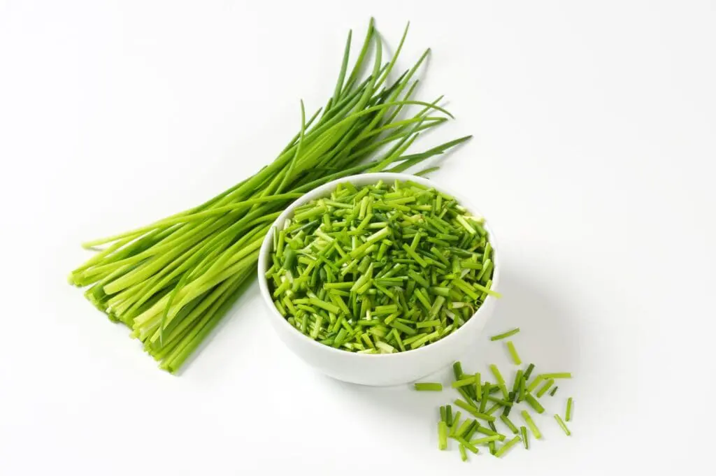 Chive - Full Circle Ingredients Ltd