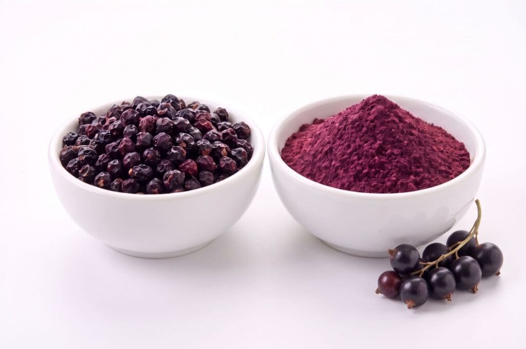 Blackcurrant - Full Circle Ingredients Ltd